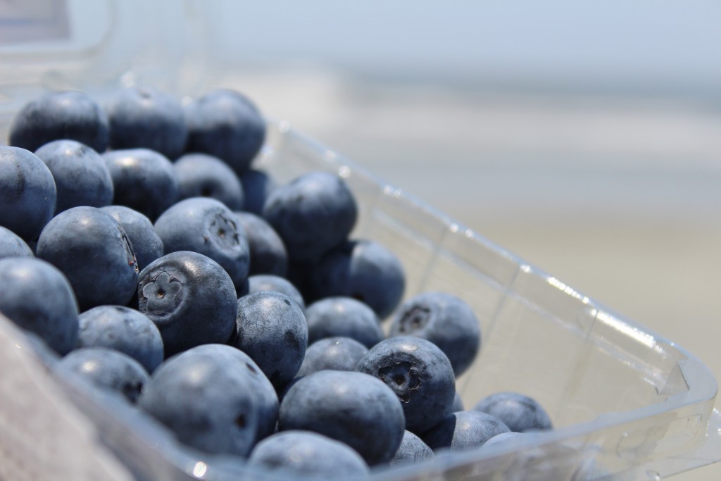 blueberries on the beach 