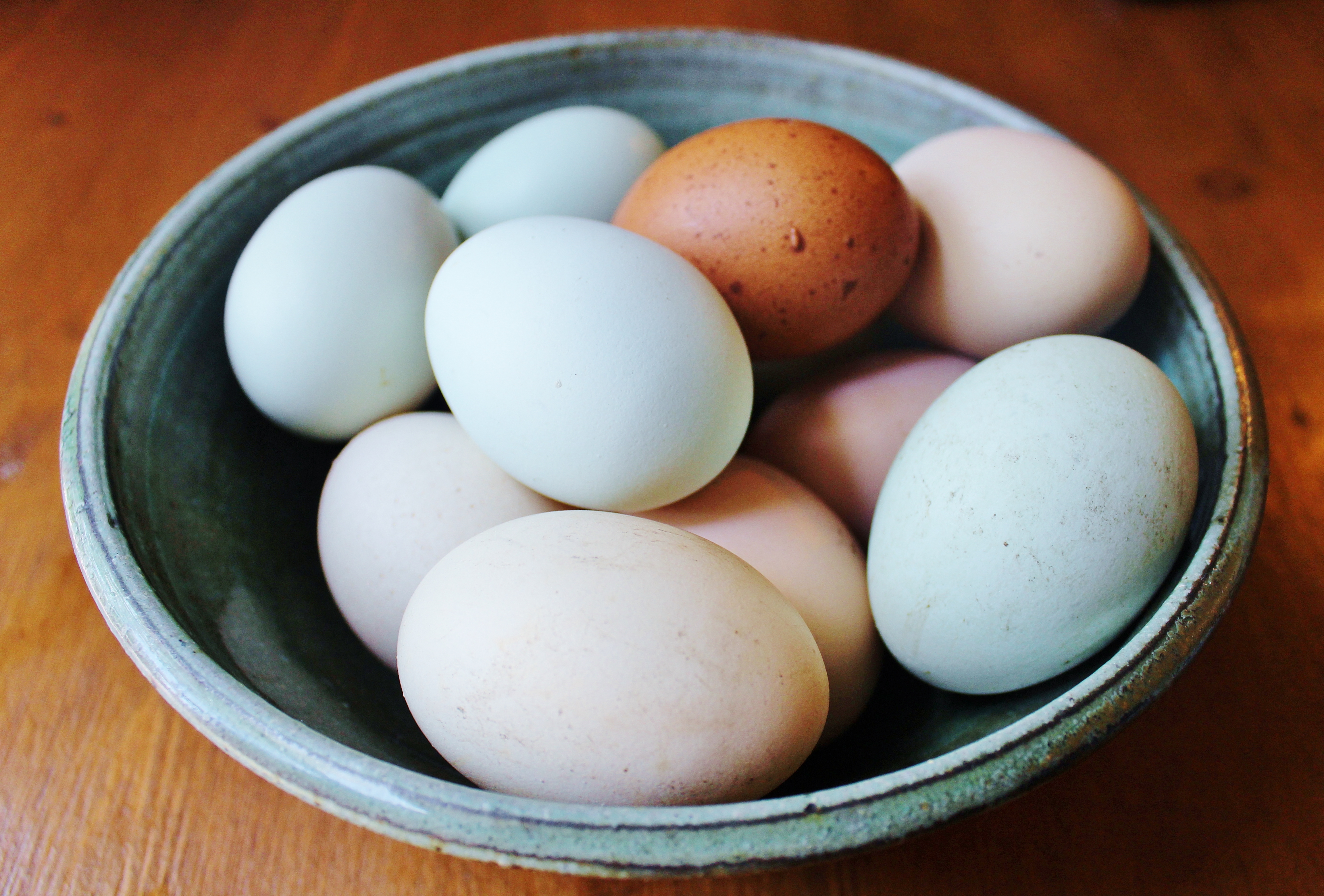 brown, blue, and regular eggs