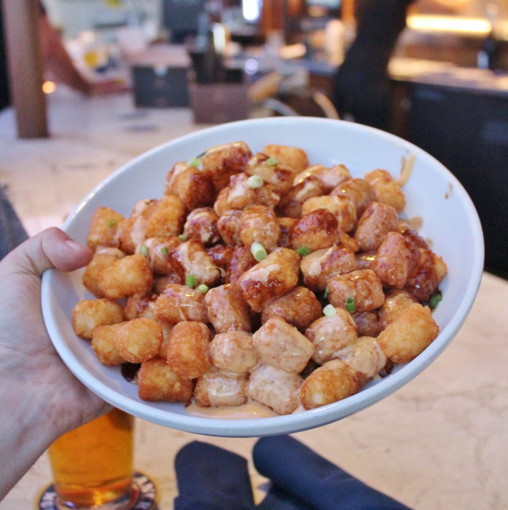 tater tots smothered in cheesy, demi glace goodness